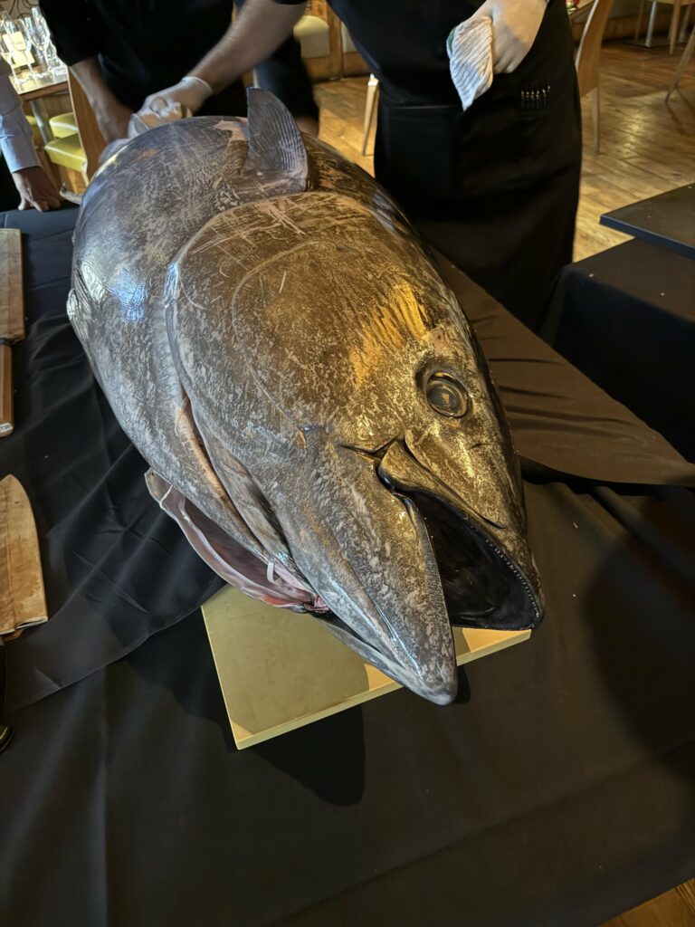 Tuna