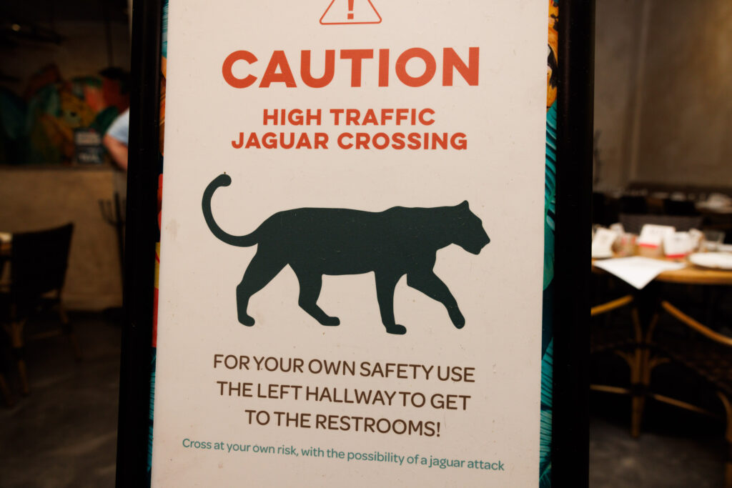 built-south-florida-jaguar-coconutgrove-2026-0069-0778
