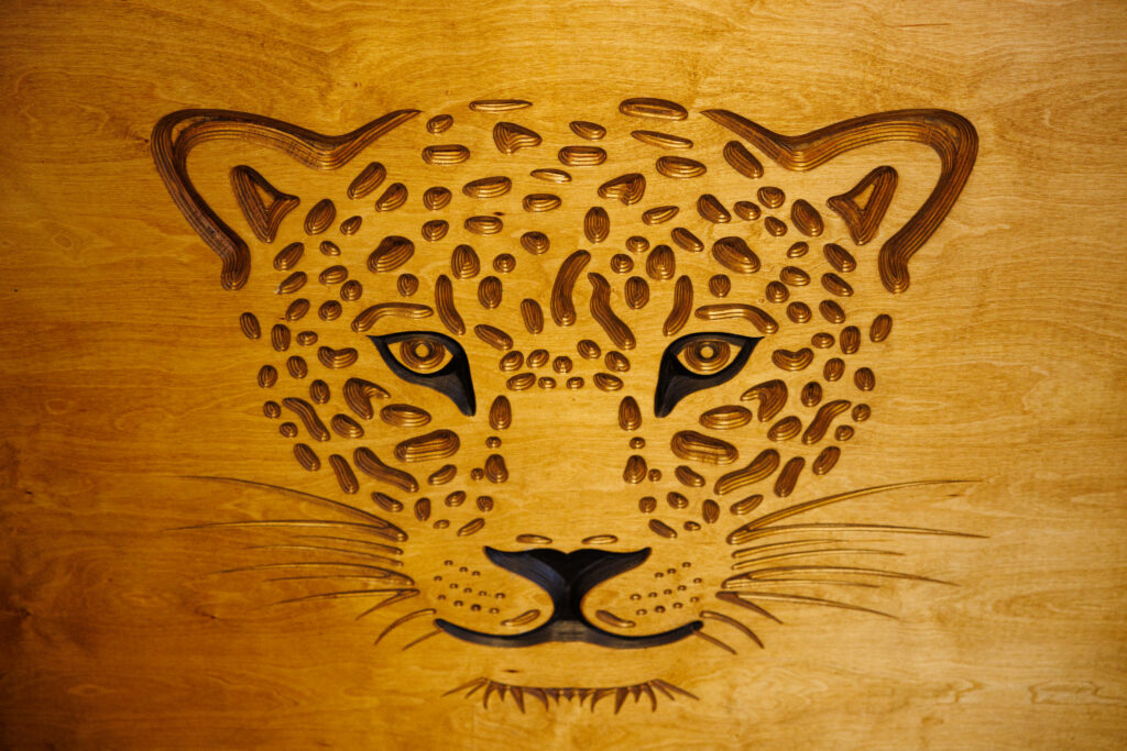 built-south-florida-jaguar-coconutgrove-2026-0079-0936